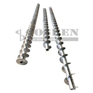 Internal Screw